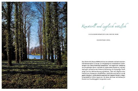 InsideView 13