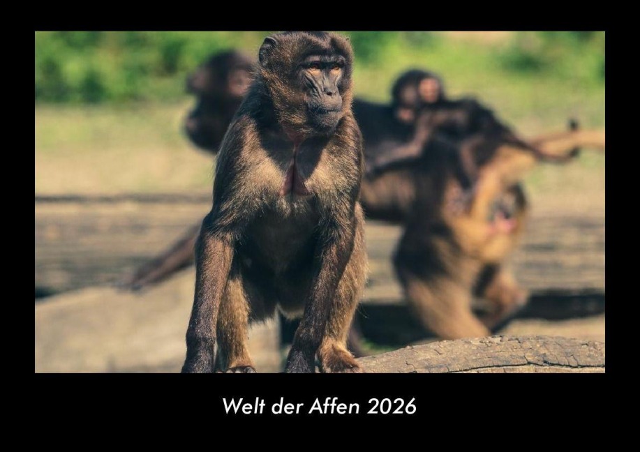 Welt der Affen 2026 Fotokalender DIN A3 - Tobias Becker