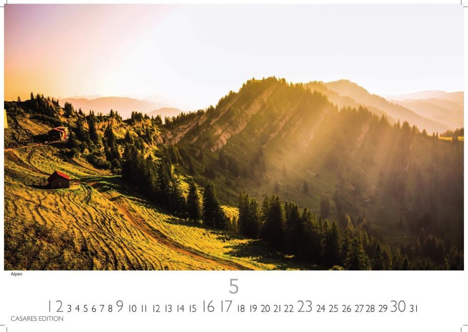 InsideView 5