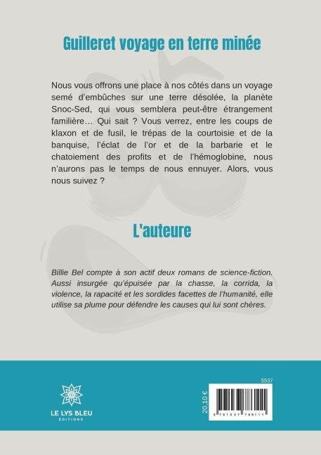 InsideView 1