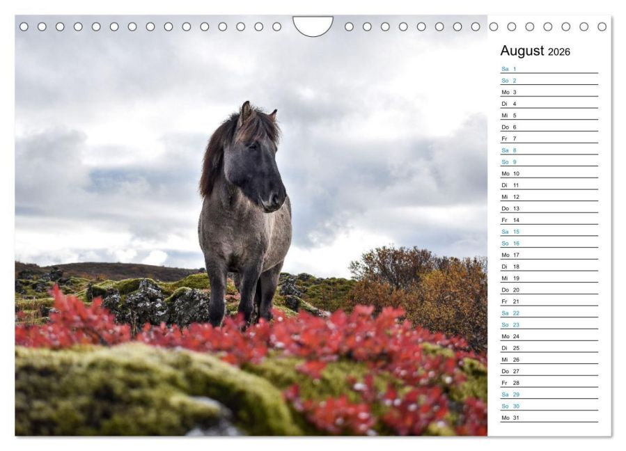 InsideView 13