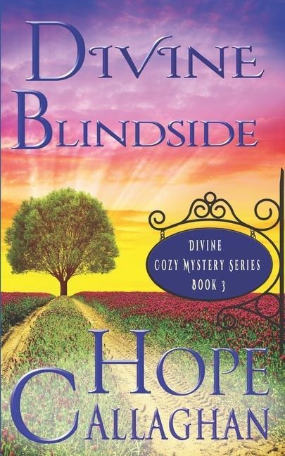 Divine Blindside - Hope Callaghan