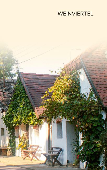 InsideView 25