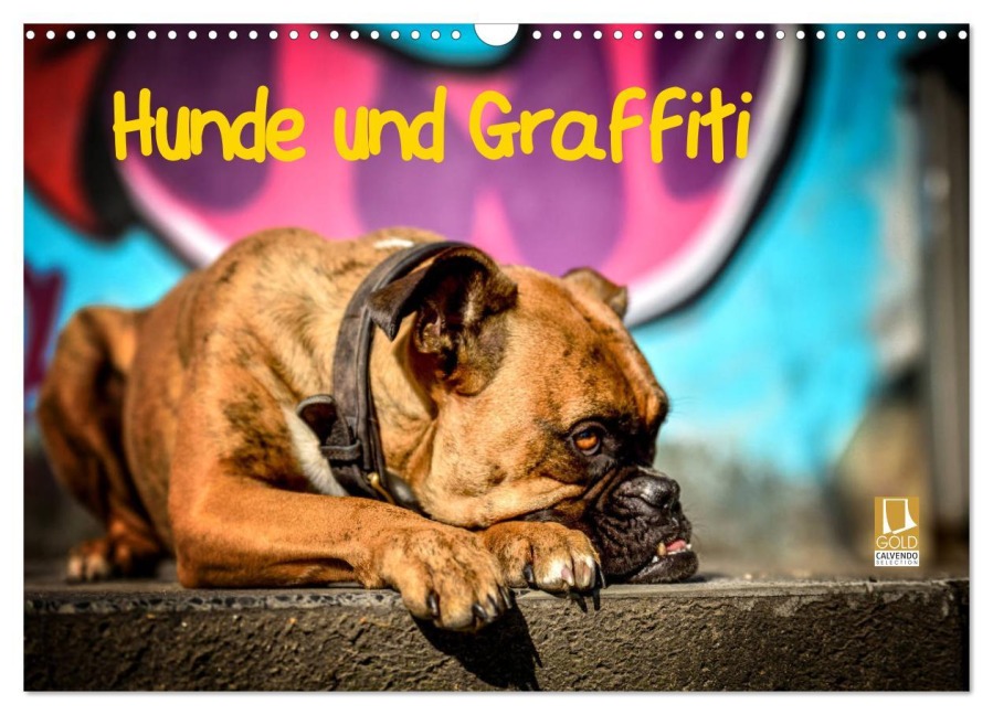 Hunde und Graffiti (Wandkalender 2026 DIN A3 quer), CALVENDO Monatskalender - Yvonne Janetzek