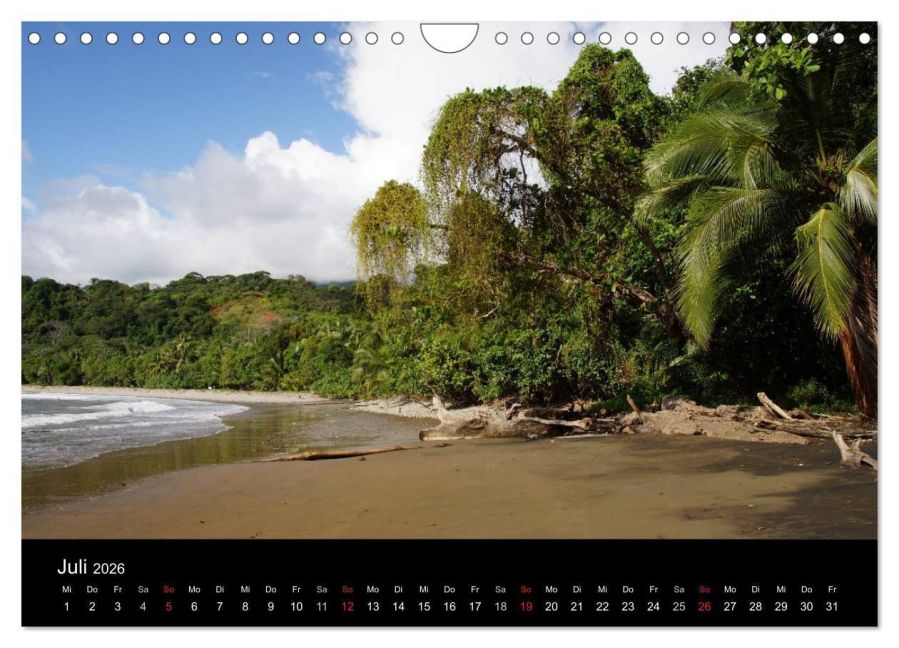 InsideView 12