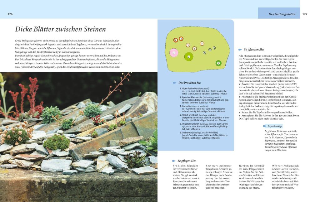 InsideView 5