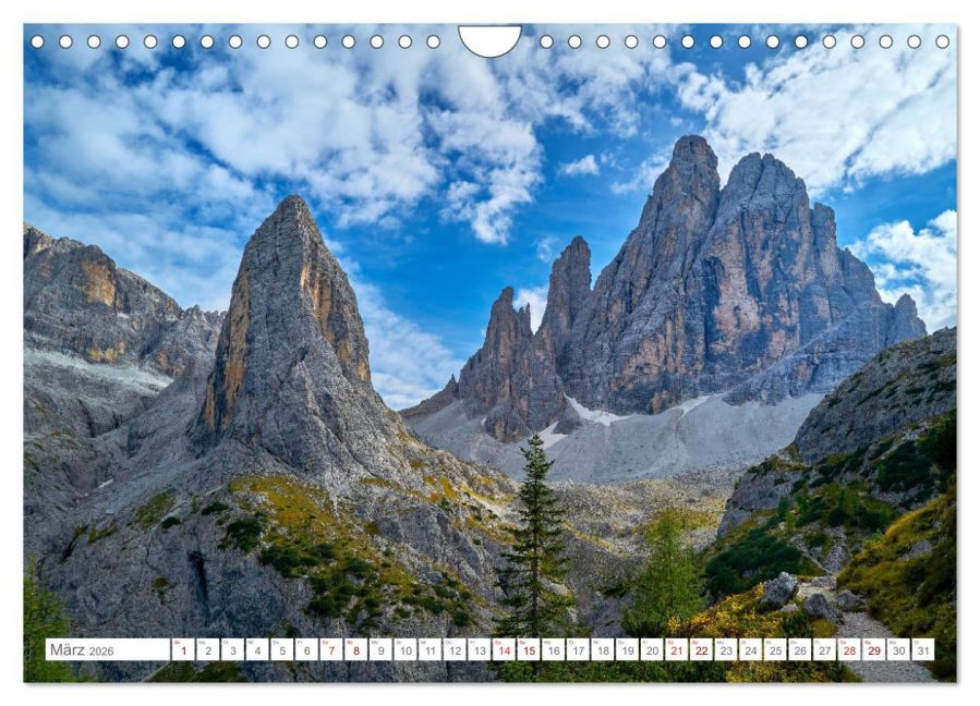 InsideView 8
