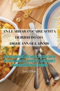 Cover-Bild zum Titel 'AN LEABHAR CÓCAIREACHTA DEIRIDH DO DO OIGHEANN OLLAINNIS' von 'Lucy O'Shea'