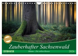 Cover-Bild zum Titel 'Zauberhafter Sachsenwald (Wandkalender 2026 DIN A4 quer), CALVENDO Monatskalender' von 'Carsten Meyerdierks'