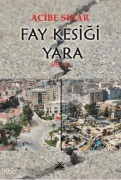Cover-Bild zum Titel 'Fay Kesigi Yara' von 'Acibe Sikar'