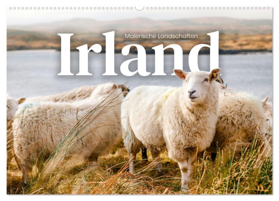 Irland - Malerische Landschaften (Wandkalender 2026 DIN A2 quer), CALVENDO Monatskalender - Happy Monkey