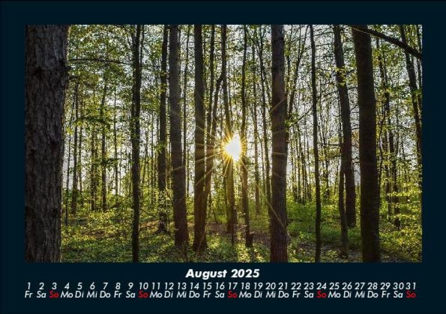 InsideView 12