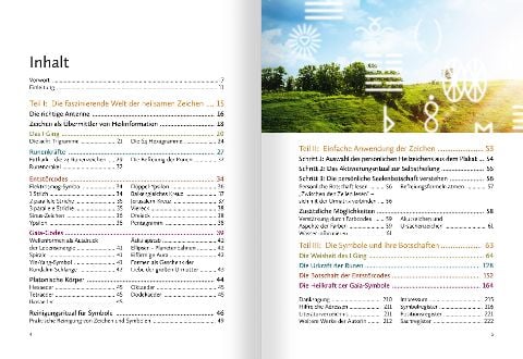 InsideView 1