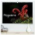 Pilzgalerie (hochwertiger Premium Wandkalender 2024 DIN A2 quer), Kunstdruck in Hochglanz - Beate Wurster