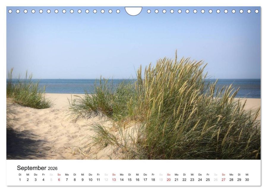 InsideView 14