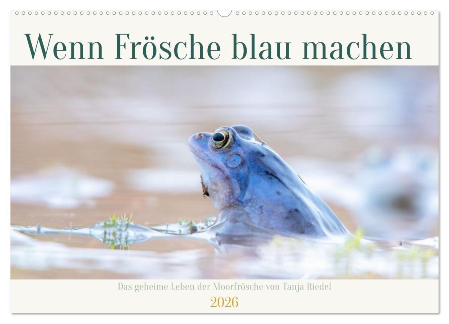 Wenn Frösche blau machen - das geheime Leben der Moorfrösche von Tanja Riedel (Wandkalender 2026 DIN A2 quer), CALVENDO Monatskalender - Tanja Riedel
