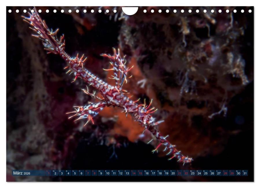 InsideView 8