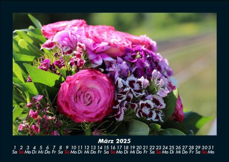 InsideView 7