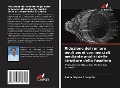 Cover-Bild zum Titel 'Riduzione del rumore negli aerei commerciali mediante analisi delle strutture della fusoliera' von 'Rama Gopala ¿Haryulu'