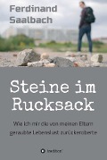 Steine im Rucksack - Ferdinand Saalbach