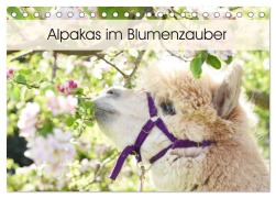 Cover-Bild zum Titel 'Alpakas im Blumenzauber (Tischkalender 2026 DIN A5 quer), CALVENDO Monatskalender' von 'Heidi Rentschler'