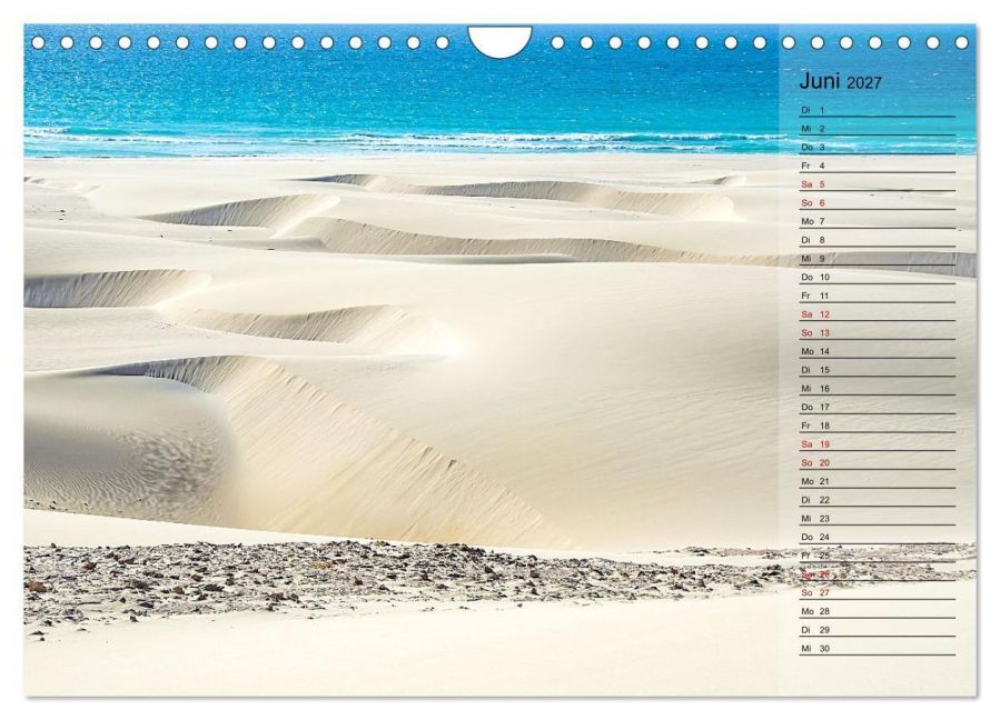 InsideView 11