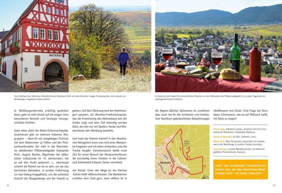 InsideView 6