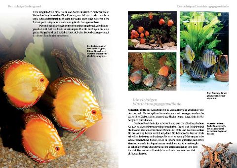 InsideView 1