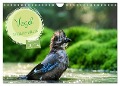 Vögel in heimischen Wäldern (Wandkalender 2024 DIN A4 quer), CALVENDO Monatskalender - Nicole Gießmann-Keller