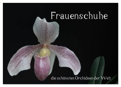 Cover-Bild zum Titel 'Frauenschuhe - die schönsten Orchideen der Welt (Wandkalender 2026 DIN A3 quer), CALVENDO Monatskalender' von 'Holger Rochow'