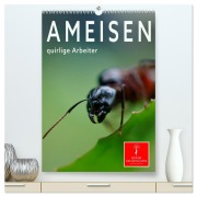 Cover-Bild zum Titel 'Ameisen quirlige Arbeiter (hochwertiger Premium Wandkalender 2026 DIN A2 hoch), Kunstdruck in Hochglanz' von 'Peter Roder'