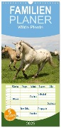 Familienplaner 2025 - Wilde Pferde mit 5 Spalten (Wandkalender, 21 x 45 cm) CALVENDO - Jens Kalanke