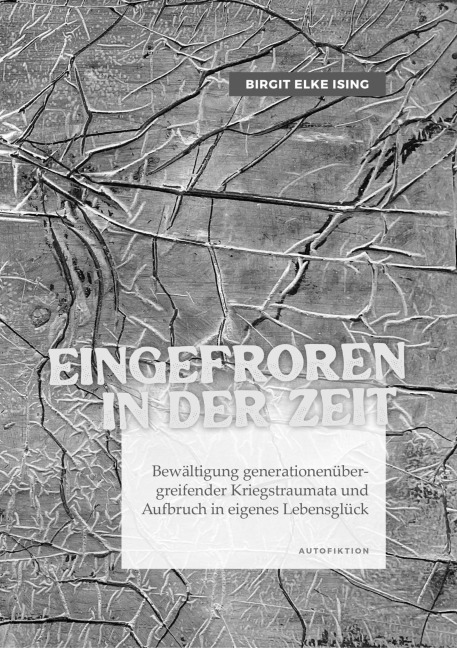 Eingefroren in der Zeit - Birgit Elke Ising