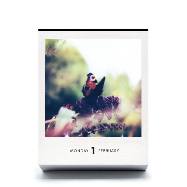 InsideView 5
