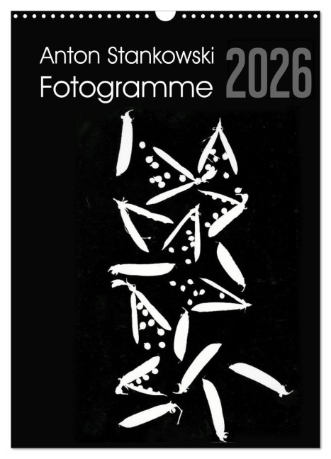 Anton Stankowski Fotogramme (Wandkalender 2026 DIN A3 hoch), CALVENDO Monatskalender - Anton Stankowski
