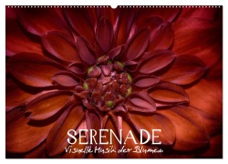 Cover-Bild zum Titel 'Serenade - Visuelle Musik der Blumen (Wandkalender 2026 DIN A2 quer), CALVENDO Monatskalender' von 'Vronja Photon'