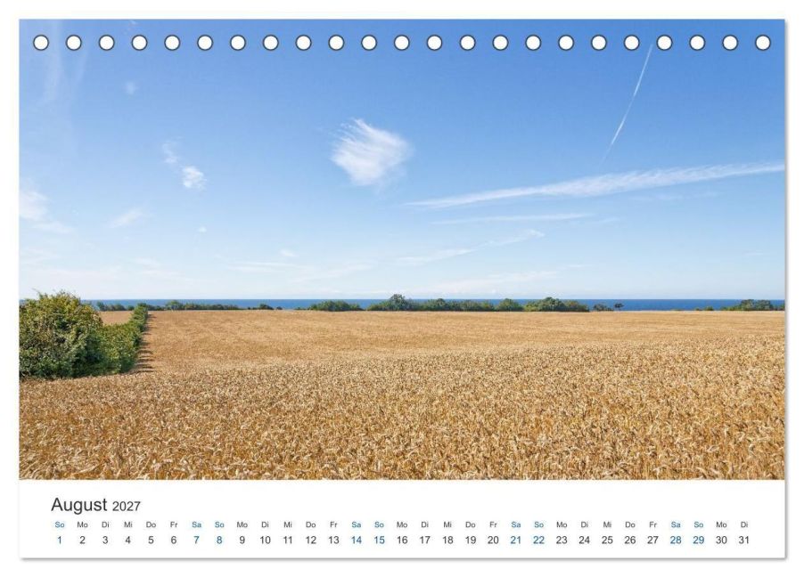 InsideView 13