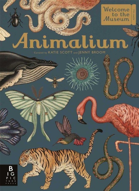 Animalium - Jenny Broom