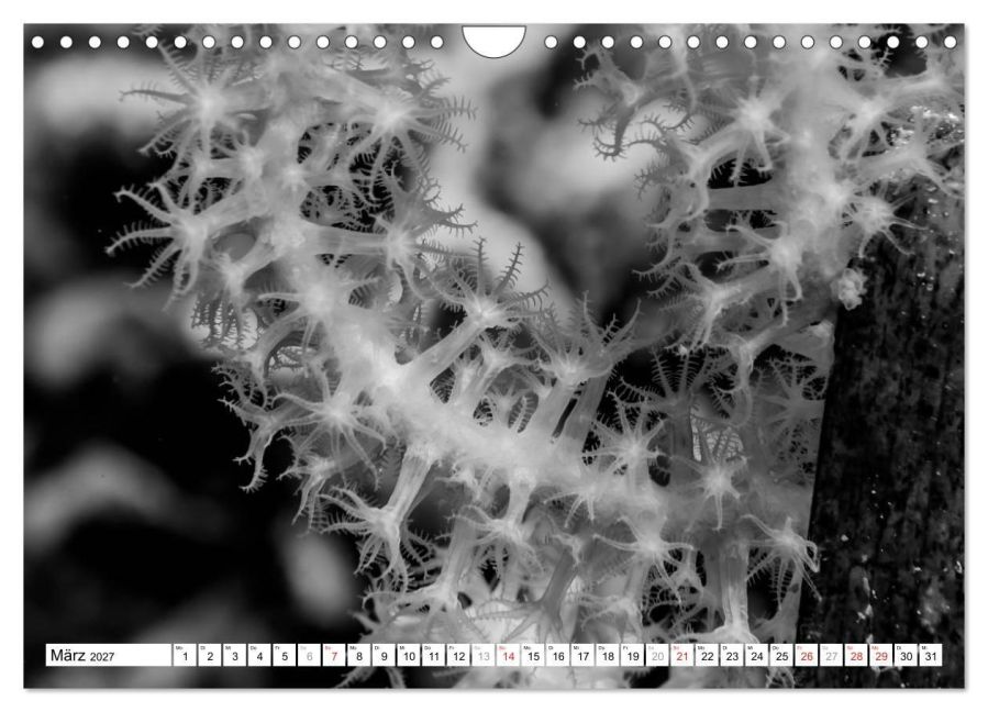 InsideView 8