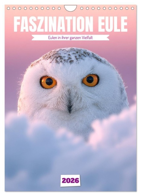 Faszination Eule - Eulen in ihrer ganzen Vielfalt (Wandkalender 2026 DIN A4 hoch), CALVENDO Monatskalender - Mb Fotografie
