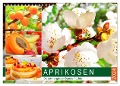Aprikosen. Die sonnengelben Sommerfrüchte (Wandkalender 2024 DIN A4 quer), CALVENDO Monatskalender - Rose Hurley