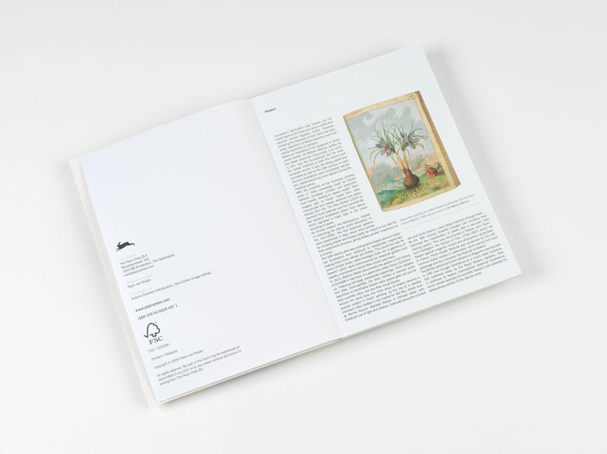 InsideView 1