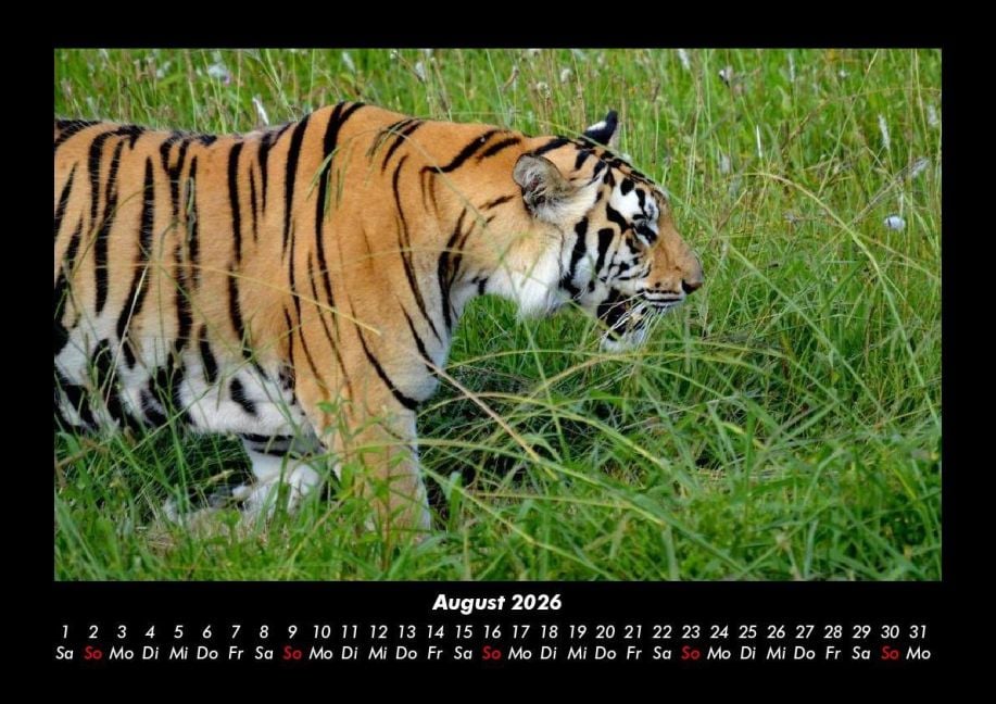 InsideView 12