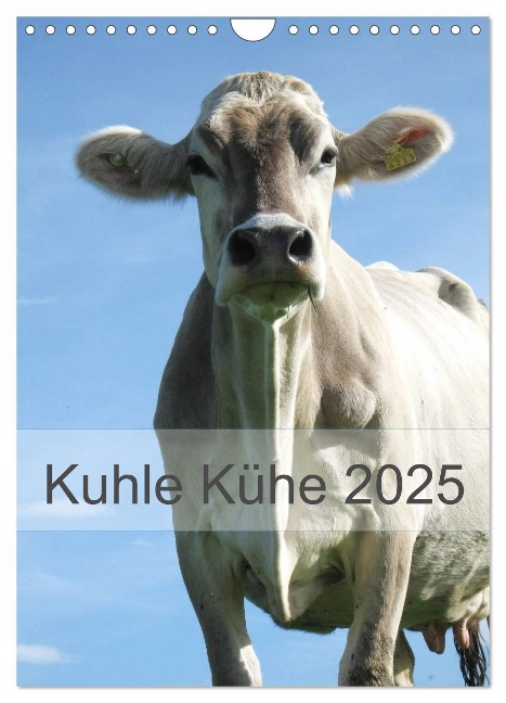 Kuhle Kühe 2025 (Wandkalender 2025 DIN A4 hoch), CALVENDO Monatskalender - Monika Dietsch