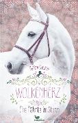 Cover-Bild zum Titel 'Wolkenherz - Eine Fährte im Sturm' von 'Sabine Giebken'