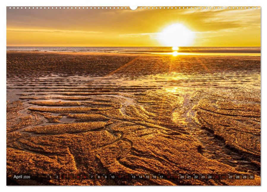 InsideView 8
