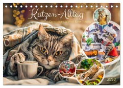 Cover-Bild zum Titel 'Katzen-Alltag - Ein witziges Jahr mit Kater Tommy (Tischkalender 2026 DIN A5 quer), CALVENDO Monatskalender' von 'Anja Frost'