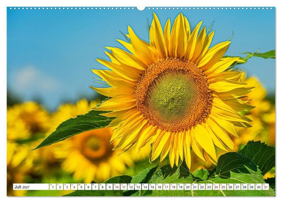 InsideView 12