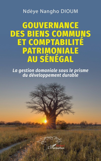 Gouvernance des biens communs et comptabilité patrimoniale au Sénégal - Ndèye Nangho Dioum
