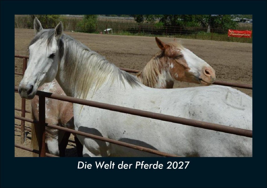 Die Welt der Pferde 2027 Fotokalender DIN A5 - Tobias Schmitt, Kevin Heber